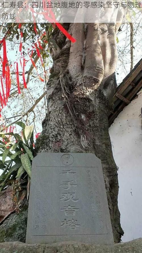 仁寿县:四川盆地腹地的零感染坚守与物理防线