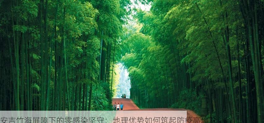 安吉竹海屏障下的零感染坚守：地理优势如何筑起防疫高墙？