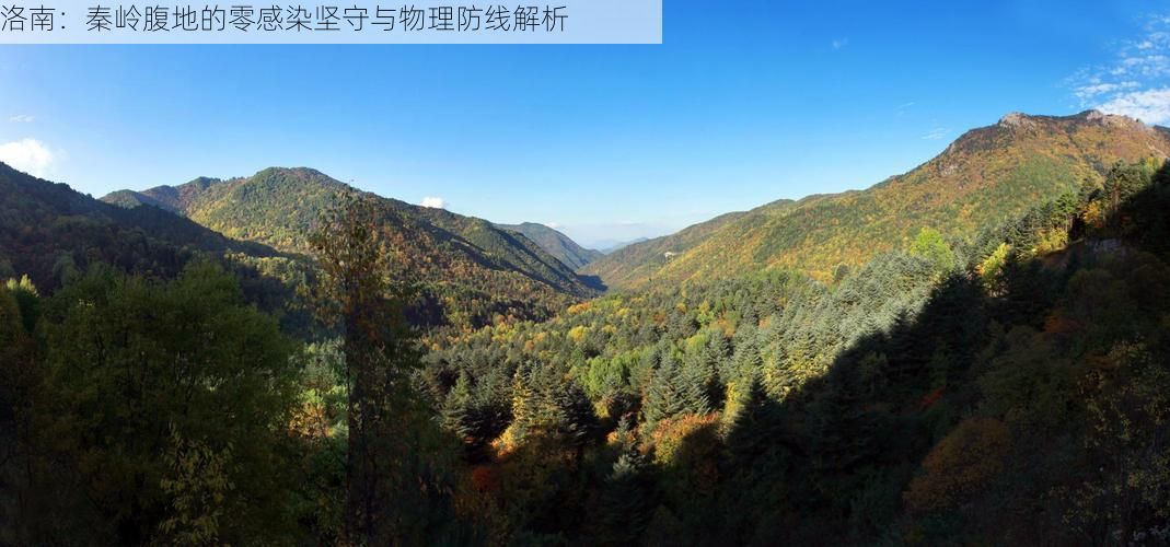 洛南：秦岭腹地的零感染坚守与物理防线解析