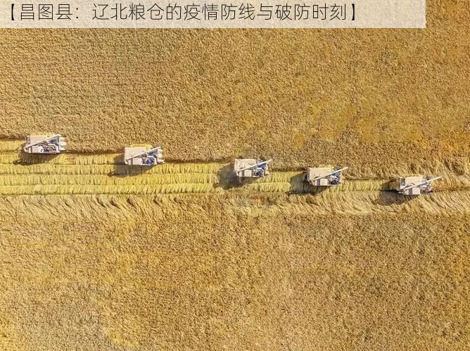 【昌图县:辽北粮仓的疫情防线与破防时刻】