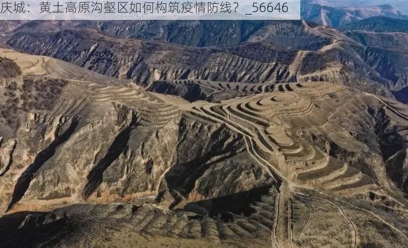庆城:黄土高原沟壑区如何构筑疫情防线?_56646