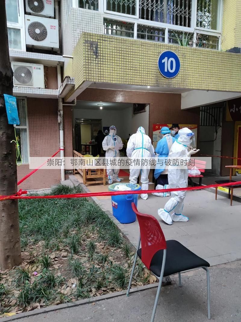 崇阳：鄂南山区县城的疫情防线与破防时刻