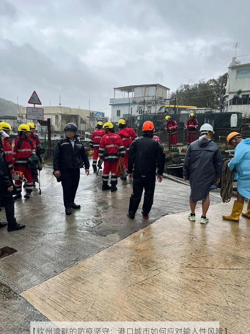 【钦州湾畔的防疫坚守：港口城市如何应对输入性风险】