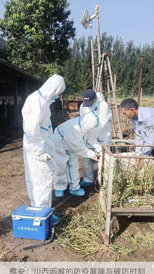 雅安：川西咽喉的防疫屏障与破防时刻