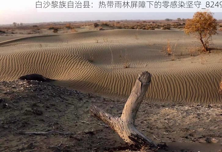 白沙黎族自治县：热带雨林屏障下的零感染坚守_8249