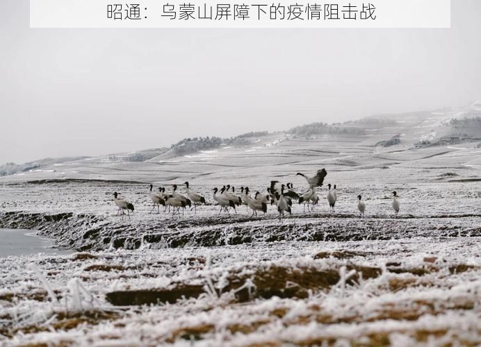 昭通：乌蒙山屏障下的疫情阻击战