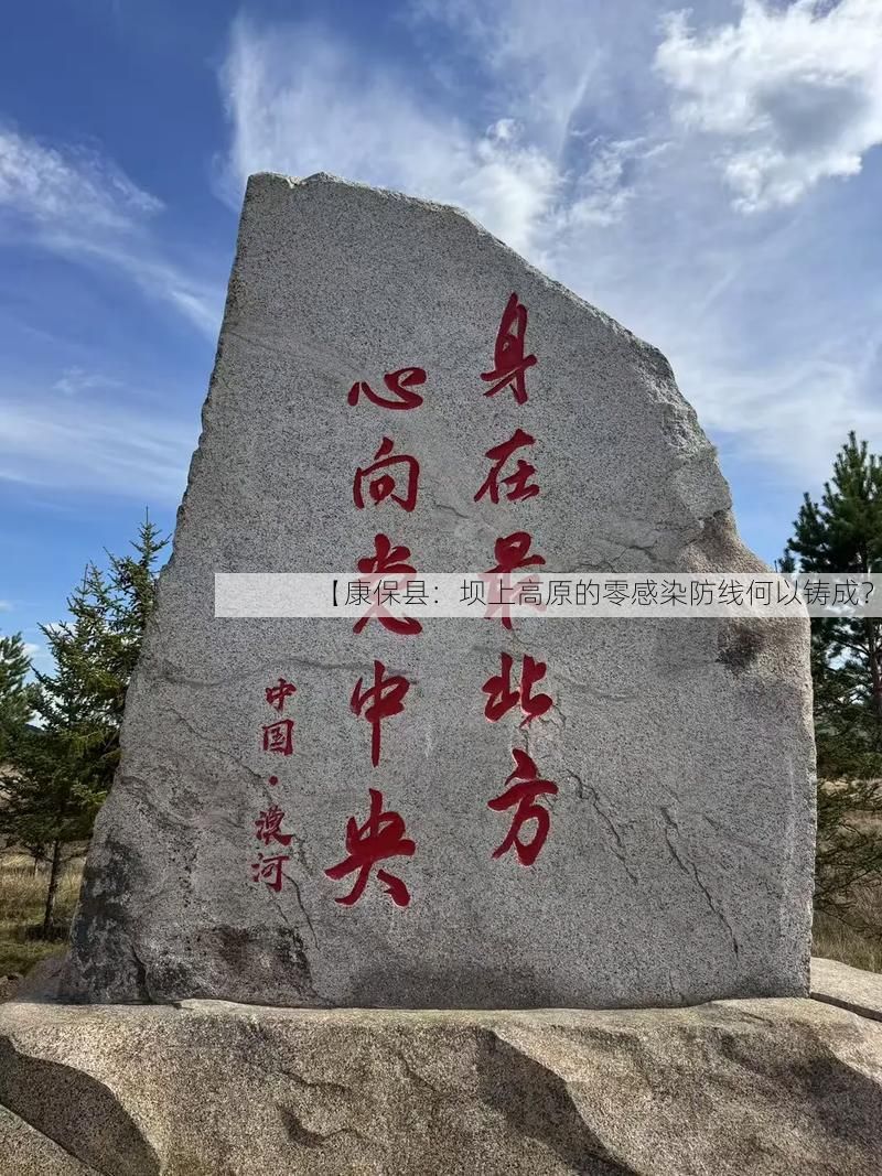 【康保县:坝上高原的零感染防线何以铸成?】