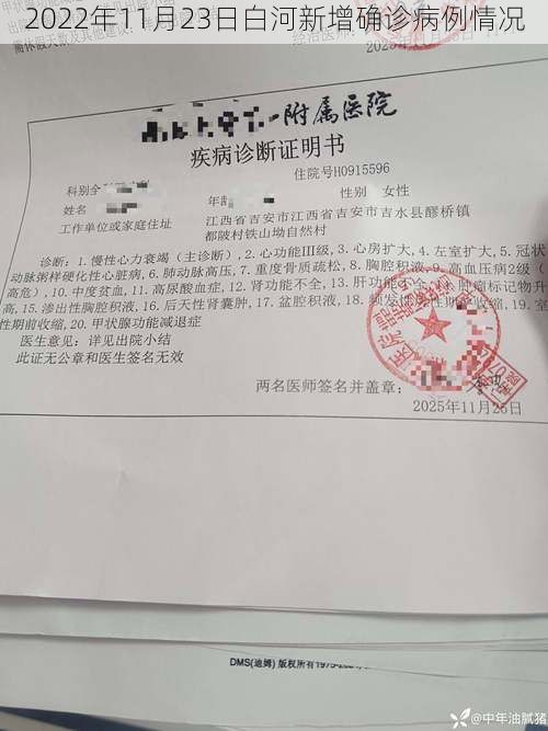 2022年11月23日白河新增确诊病例情况