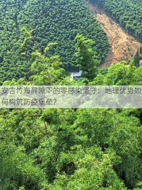 安吉竹海屏障下的零感染坚守:地理优势如何构筑防疫堡垒?