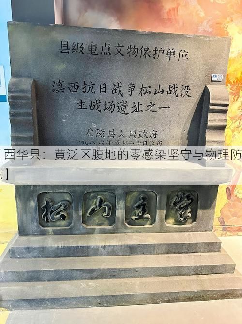 【西华县:黄泛区腹地的零感染坚守与物理防线】