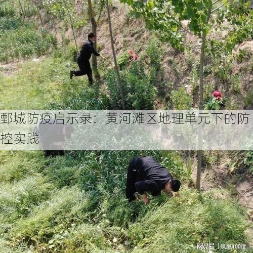 鄄城防疫启示录：黄河滩区地理单元下的防控实践