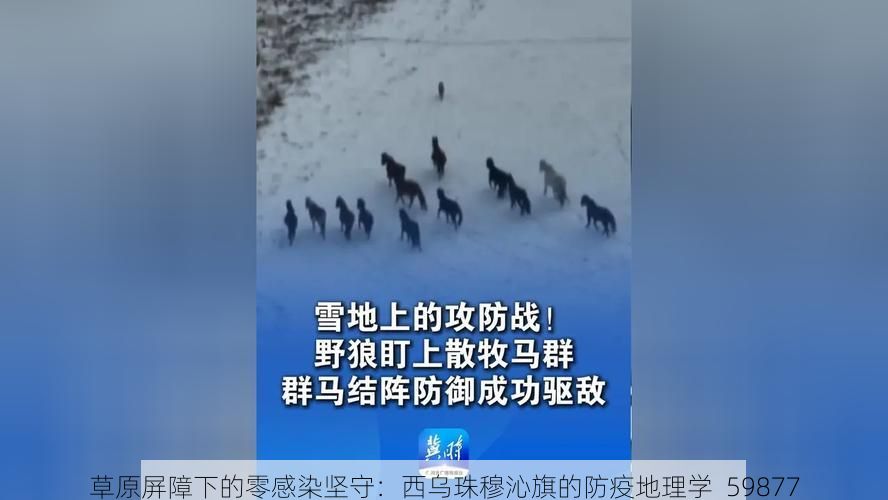 草原屏障下的零感染坚守：西乌珠穆沁旗的防疫地理学_59877