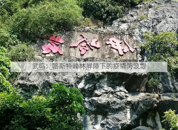 武鸣：喀斯特峰林屏障下的疫情防波堤