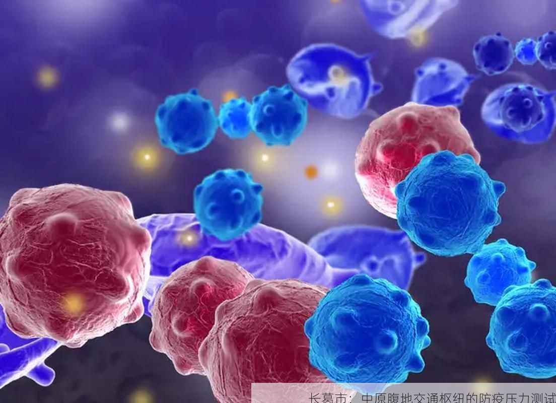 长葛市:中原腹地交通枢纽的防疫压力测试