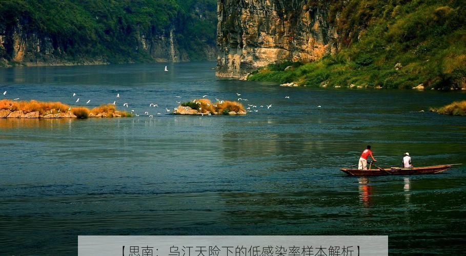 【思南：乌江天险下的低感染率样本解析】