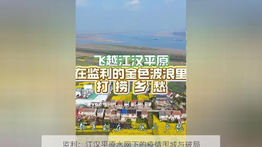 监利：江汉平原水网下的疫情围城与破局