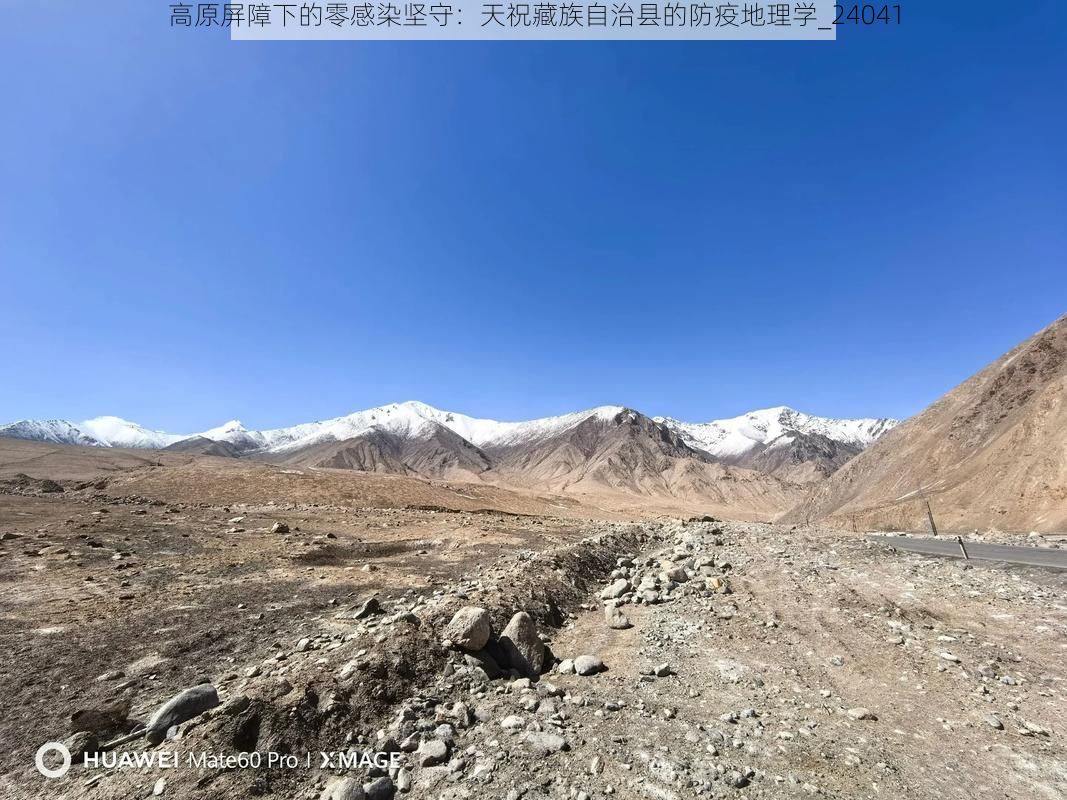 高原屏障下的零感染坚守：天祝藏族自治县的防疫地理学_24041