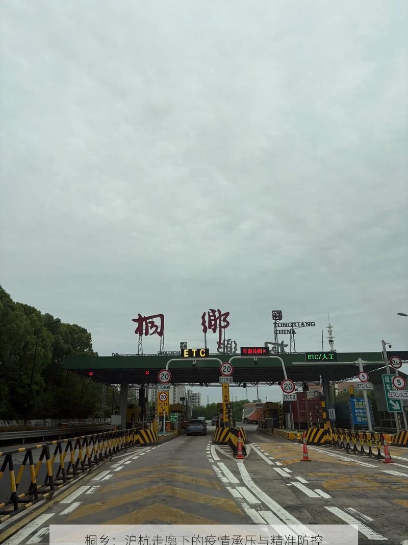 桐乡:沪杭走廊下的疫情承压与精准防控