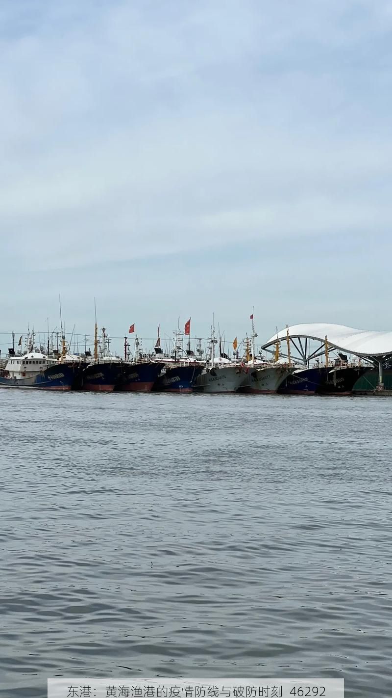 东港：黄海渔港的疫情防线与破防时刻_46292