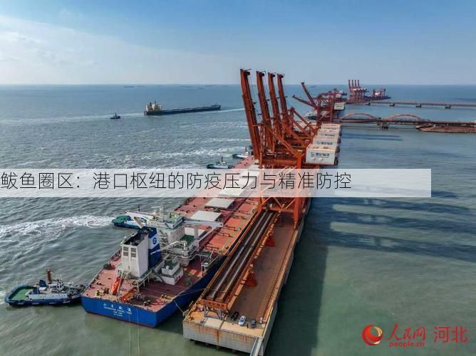鲅鱼圈区：港口枢纽的防疫压力与精准防控