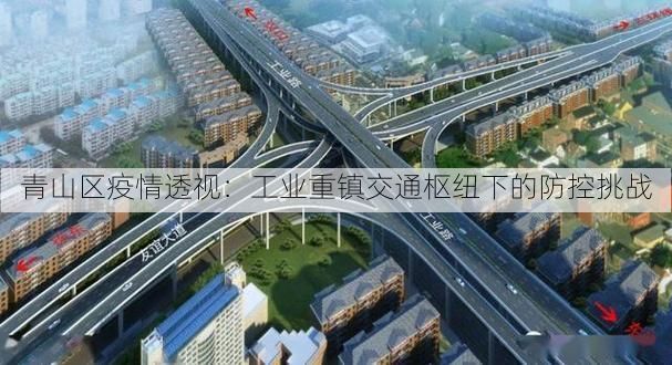 青山区疫情透视：工业重镇交通枢纽下的防控挑战