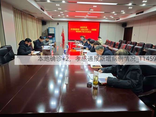 本地确诊+2,孝感通报新增病例情况_11459