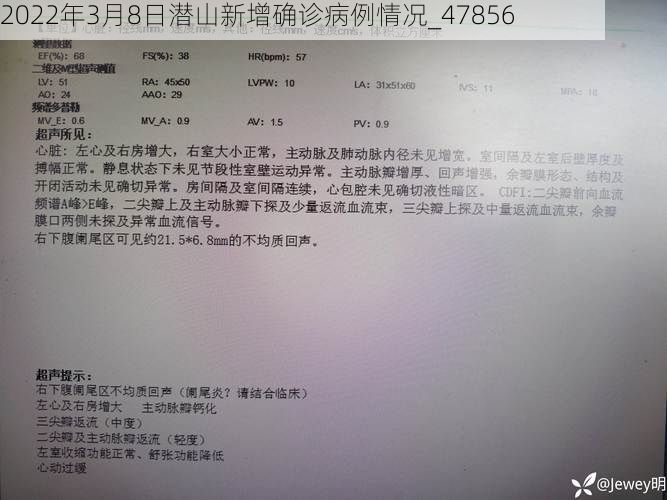 2022年3月8日潜山新增确诊病例情况_47856