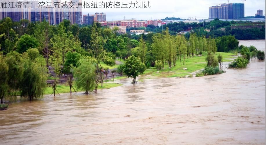 雁江疫情：沱江流域交通枢纽的防控压力测试