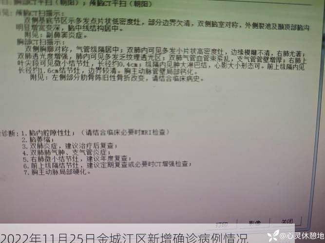 2022年11月25日金城江区新增确诊病例情况