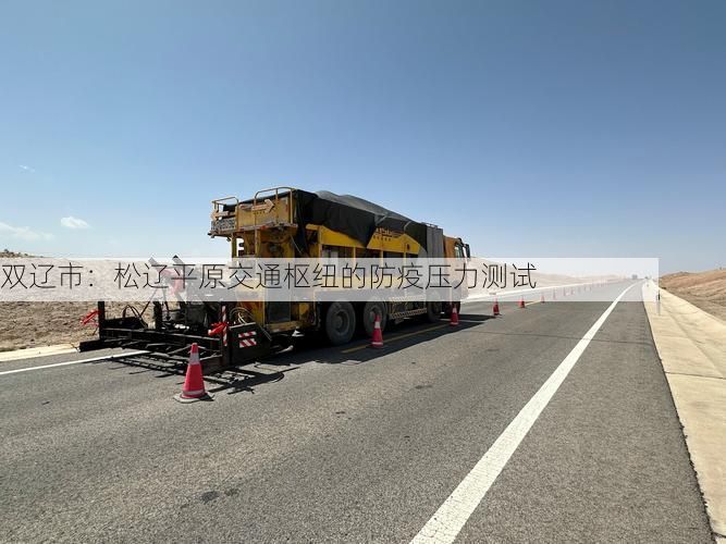 双辽市:松辽平原交通枢纽的防疫压力测试