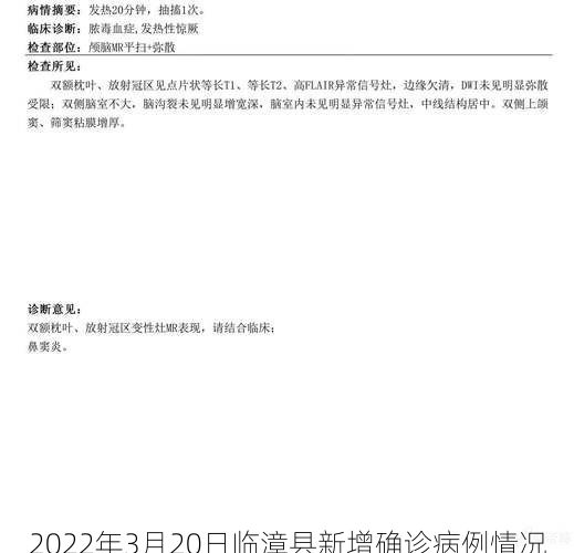 2022年3月20日临漳县新增确诊病例情况