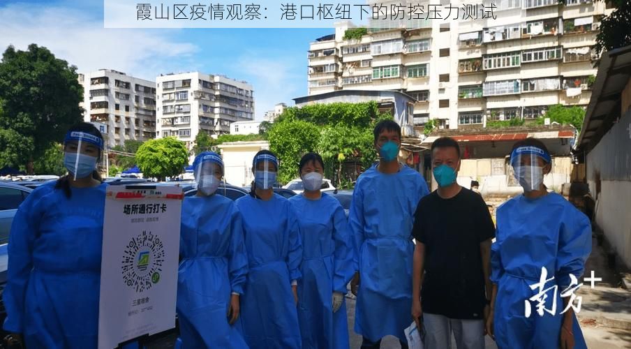霞山区疫情观察：港口枢纽下的防控压力测试