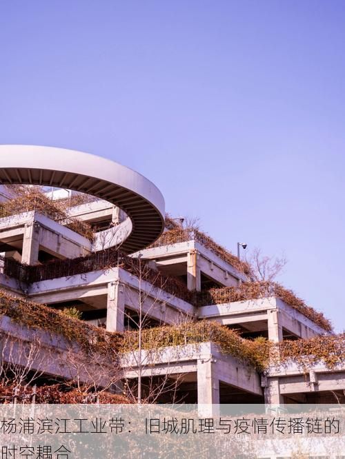 杨浦滨江工业带：旧城肌理与疫情传播链的时空耦合