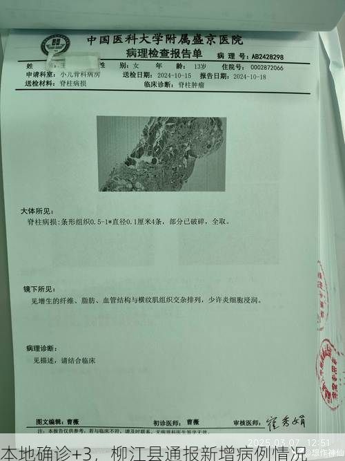 本地确诊+3，柳江县通报新增病例情况