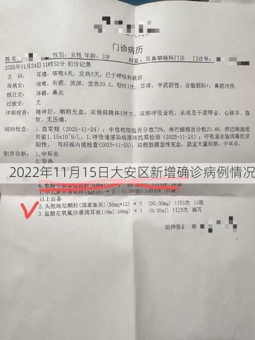 2022年11月15日大安区新增确诊病例情况