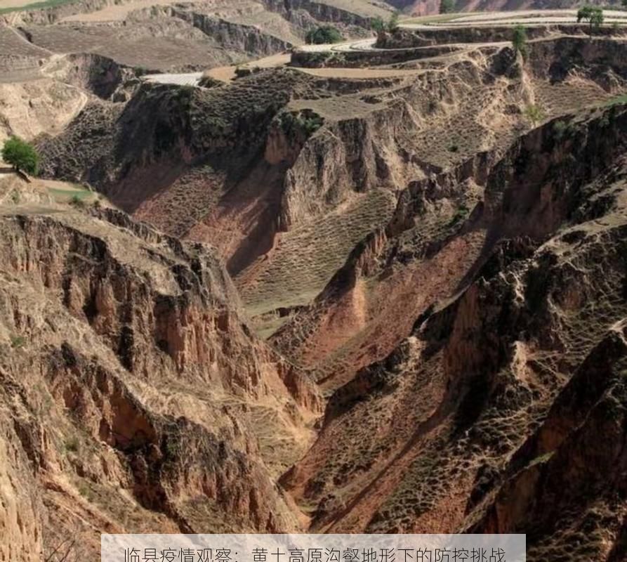 临县疫情观察：黄土高原沟壑地形下的防控挑战