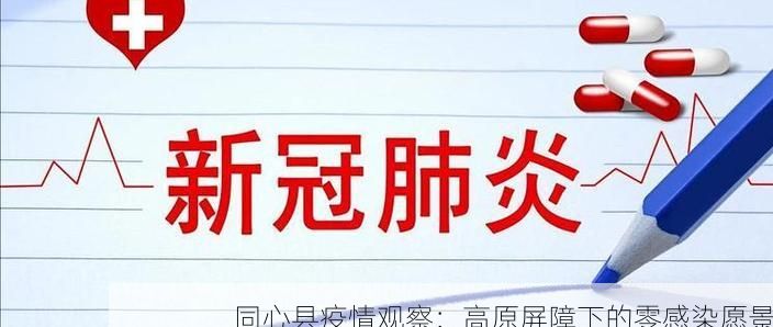 同心县疫情观察：高原屏障下的零感染愿景