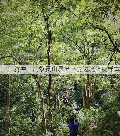 腾冲：高黎贡山屏障下的边境防疫样本