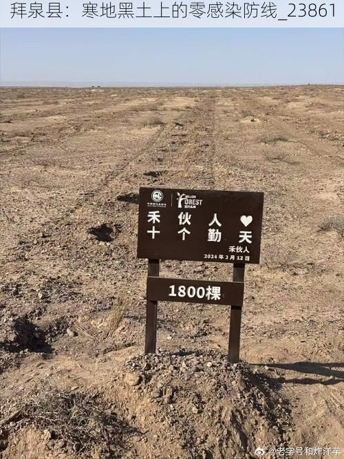 拜泉县:寒地黑土上的零感染防线_23861