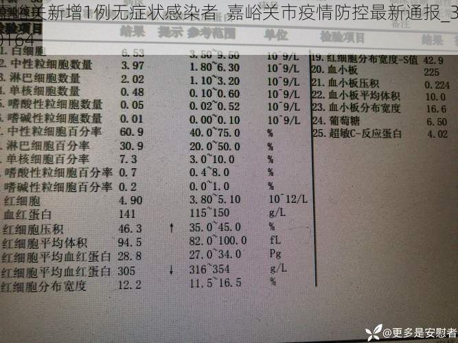 嘉峪关新增1例无症状感染者  嘉峪关市疫情防控最新通报_30164