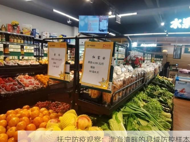 抚宁防疫观察:渤海湾畔的县域防控样本