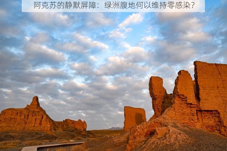 阿克苏的静默屏障：绿洲腹地何以维持零感染？