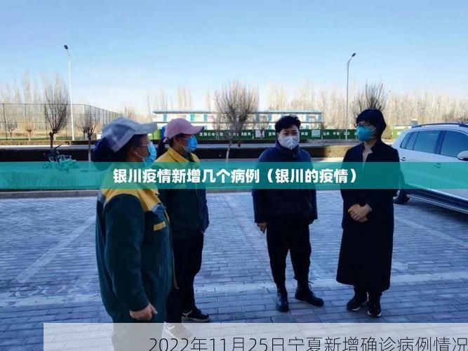 2022年11月25日宁夏新增确诊病例情况
