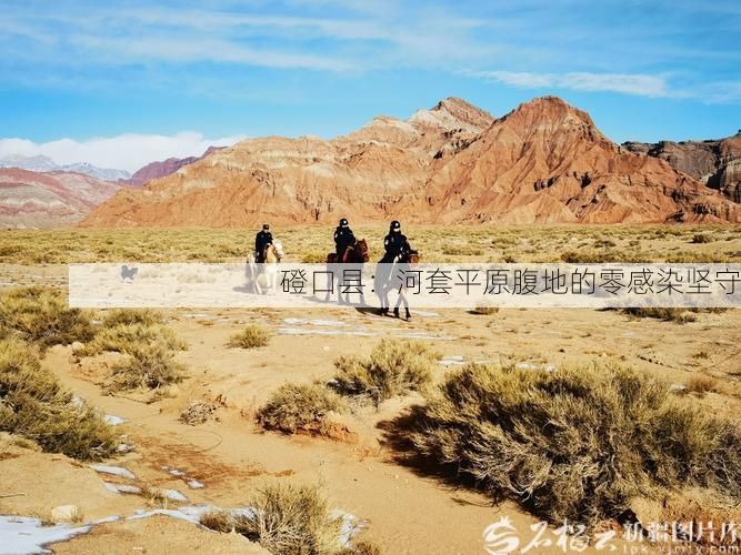 磴口县:河套平原腹地的零感染坚守