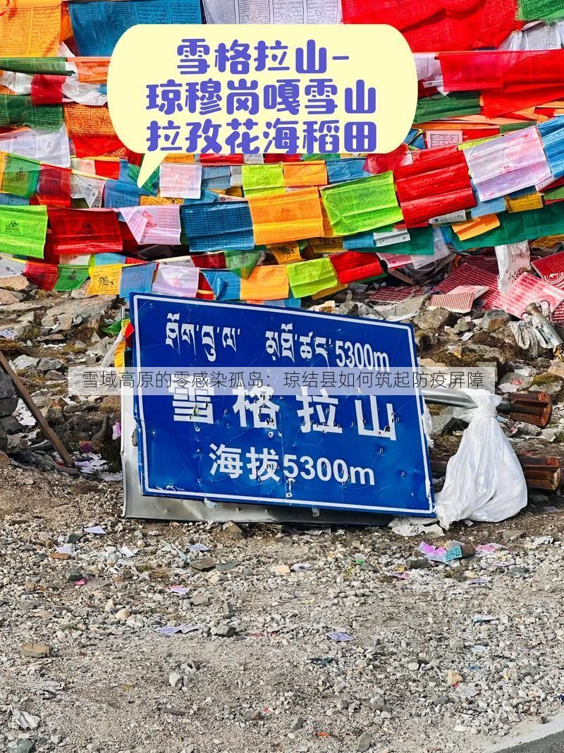 雪域高原的零感染孤岛：琼结县如何筑起防疫屏障