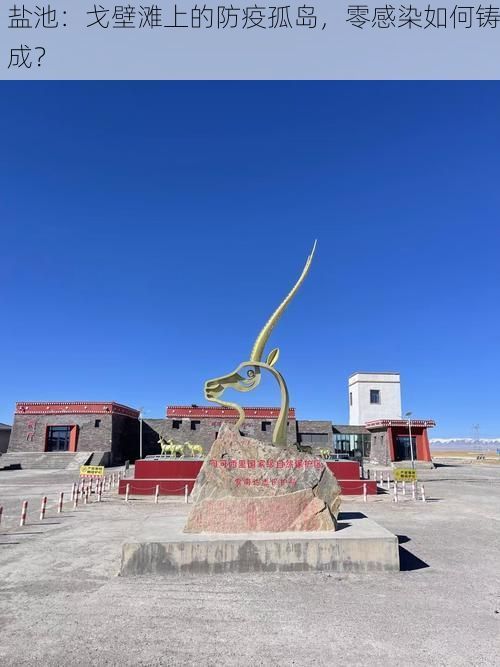 盐池:戈壁滩上的防疫孤岛,零感染如何铸成?