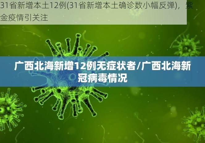 31省新增本土12例(31省新增本土确诊数小幅反弹)，紫金疫情引关注