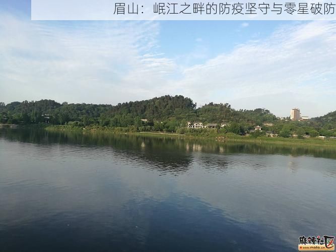 眉山：岷江之畔的防疫坚守与零星破防