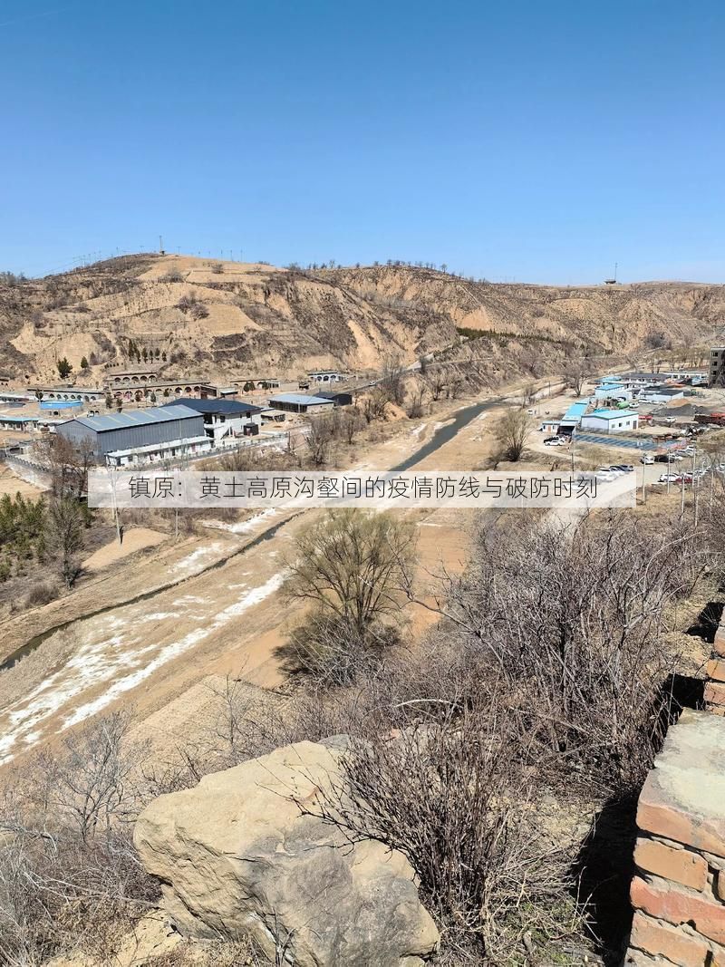 镇原：黄土高原沟壑间的疫情防线与破防时刻