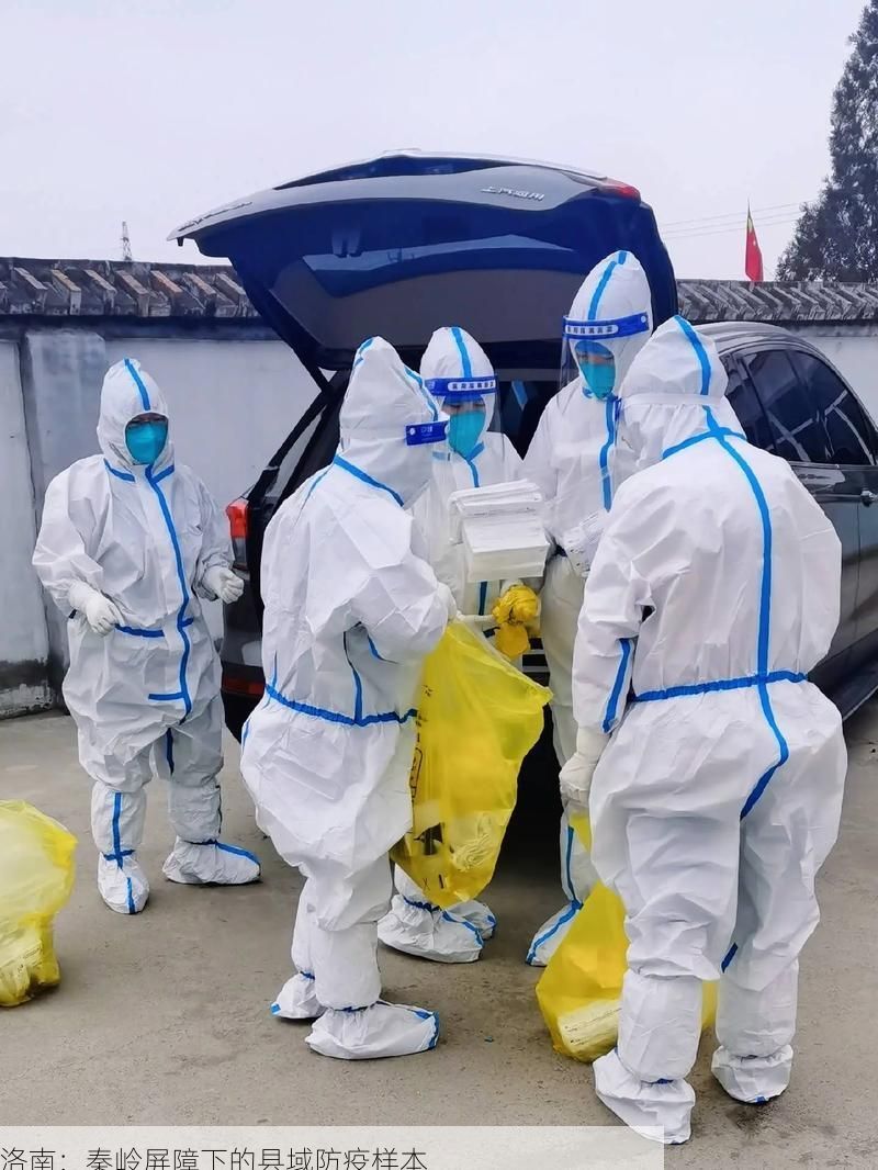 洛南：秦岭屏障下的县域防疫样本